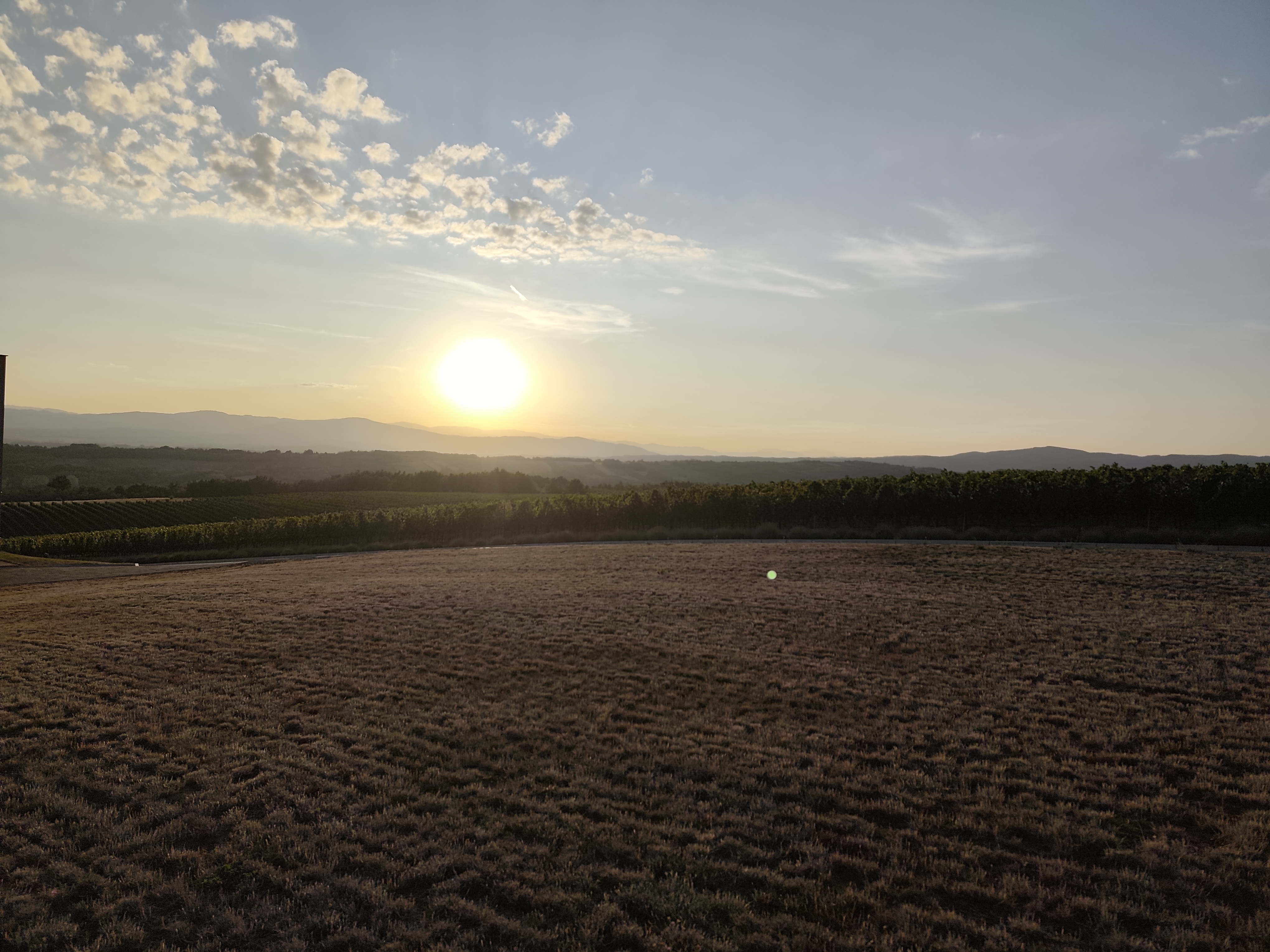Zalazak vinograd Zdravinje